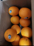 美国进口新奇士3107黑标脐橙Sunkist进口橙子甜橙单果170-210克 18个礼盒装 实拍图