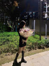 达芙妮长靴女高跟粗跟长筒靴冬季保暖加绒2023新款增高品牌百搭高筒女靴 黑色 37 (235mm) 标准码 实拍图