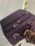 瑞士军刀集团商务拉杆箱牛津布旅行箱男学生行李箱女韩版登机箱大容量万向轮SHENGSHISABER新款 紫色 16-18英寸 实拍图