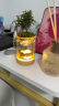 丘辰苔藓微景观生态瓶办公室内桌面绿植摆件DIY造景花卉盆栽生日礼物 有光青年（小夜灯） 晒单实拍图