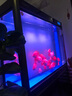 森森鱼缸潜水变色LED水草冒泡七彩灯水族箱造景灯龙鱼防水灯管不红水 森森双排 98cm/20W【红色】 实拍图