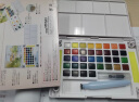 樱花(SAKURA)固体水彩颜料18色套装 NCW-18H 荷兰泰伦斯便携透明水彩 写生学生绘画用品 实拍图