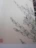 名家画谱系列：百花白描写生集 实拍图