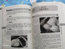 主食面点制作书籍 家常主食小吃 菜谱 新编面点师实用手册 轻松面点制作大全 技巧方法 中式西式面点书籍 厨师烹制窍门妙招 基础知识百科书籍 实拍图