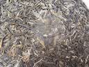 馥漪园【2020年春茶】冰岛南迫普洱茶生茶礼盒装 云南七子饼茶357g 爵级 实拍图