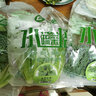 首诚高端蔬菜免洗采摘即食轻食沙拉西餐火锅鲜活首诚植物工厂采摘直发 美罗（10袋） 实拍图