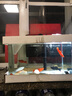 森森（SUNSUN）净水剂水族鱼缸过滤器过滤用净水水质澄清剂 净水灵125ml 实拍图