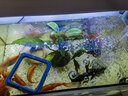 roxin高亮鱼缸LED灯水族箱节能防水灯草缸潜水夹灯水草小型支架 三排白蓝/10W灯长48cm（50-60缸） 实拍图