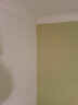 德国克里斯汀 经典白色促销滚刷 套装套盒 乳胶漆墙面漆刷漆滚筒 油漆涂料滚刷刷子内墙漆刷墙工具 经典白色促销滚刷9英寸5支装含刷架 D8851 晒单实拍图