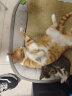 怡亲 猫罐头零食成幼猫湿粮85g*12罐猫咪零食吞拿鱼鸡肉营养补水罐头 鸡肉鸵鸟肉+银鱼85g*6罐 实拍图