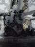 斯帝卡（Stiga） 红黑碳王7.6乒乓球拍底板斯蒂卡胶皮碳素7.6CR直板横板WRB专业级 横拍【WRB】+狂飙3+超轻一诺王 实拍图