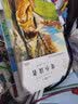 繁星春水+寄小读者+小桔灯全3册冰心儿童文学全集正版原著诗集散文集三四五六年级小学生课外阅读经典书目 实拍图