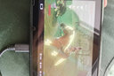 乐福然塞尔达王国之泪荒野之息amiibo卡无限黄昏弓鬼神套装联动 究极大魔王套【108张】 实拍图