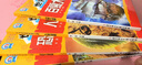 不可思议的世界之谜(注音版全4册)百慕大谜象+动植物谜团+人类谜思+恐龙谜踪 青少年少儿科普百科 实拍图