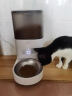 霍曼宠物智能自动喂食器 猫咪狗狗 定时定量投食机远程控制食盆 全自动喂食器不锈钢碗 晒单实拍图
