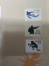 收藏 集邮  J字头邮票  之五 J172 北京十一届亚洲运动会三组 实拍图