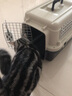 HZPET国航猫咪航空箱南深航飞机托运狗狗铁窗宠物外出便携车载旅行箱子 升级1号：51×33×33cm 双拼色 金属窗 实拍图