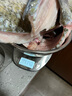 中心忠味 中山脆鲩鱼 广东脆肉皖鱼 新鲜脆肉鲩鲜活现杀分割发货火锅食材  12斤整条（杀好净重约9斤） 实拍图