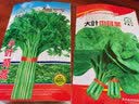 易栽乐（Yizail） 园艺工具家庭阳台种菜种花小铲子 铁锹 镁铝合金材质 花园盆栽养花工具 宽铲子 实拍图