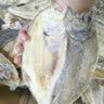 海幽鲜（HAIYOUXIAN）鱼干自制风干黄花鱼干大黄鱼鲞3斤装海鱼白鲞海鲜特产咸鱼干干货 黄鱼鲞5条+1条 500g*3袋 19.6/条 实拍图
