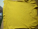 艾路丝婷新款短袖T恤女V领上衣纯色打底体恤TX3560 黄色 165/88A/L 实拍图