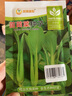 凤鸣雅世苗苗菜种子10克四季蔬菜种孑阳台盆栽大田种植农场用种子 实拍图