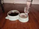 hoopet猫碗双碗不锈钢狗狗碗宠物猫粮食盆自动饮水器水碗喂食器陶瓷用品 三合一宠物碗-莫蓝 实拍图