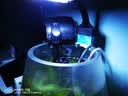 森森 水族鱼缸过滤器 外置壁挂过滤器 去除油膜瀑布式过滤 HBL-301适配20-30cm鱼缸2W 实拍图