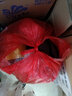 广博(GuangBo)A4透明按扣文件袋资料袋塑料纽扣袋文件套试卷收纳保护袋子 办公用品 【12C常规款】按扣袋*30只透白 实拍图