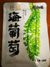 海葡萄 盐渍海葡萄100g新鲜活即食长寿菜海藻菜海菜寿司鱼子酱 100g*6包海葡萄 配蘸料 实拍图