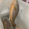御泸鲜湘【顺丰发货】精选特大黄花鱼新鲜深海大黄鱼宁德黄花鱼1-2斤1条 5斤装【5条】回头客多 掌柜力荐 实拍图