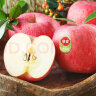 佳农烟台红富士苹果 5kg装 特级果 单果240g 礼盒装 新鲜水果 晒单实拍图