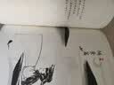 水墨玩家 三两笔画出Q萌简笔中国画（绘客出品） 实拍图