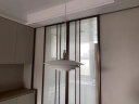 诺乐适（Nordlux） 丹麦设计师轻奢艺术飞碟餐厅吊灯现代简约轻奢吊灯 bretagne单只 实拍图