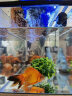 迁山创意乔迁礼品客厅桌面玻璃流水鱼缸办公室循环转运生财景观摆件 鱼缸-仿真款 晒单实拍图