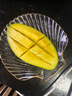 onlycook家用玻璃水果盘餐具创意小碟子精致盘子餐盘菜盘果盘西餐 描金海螺盘 1个 20cm 实拍图