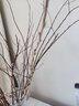 沭之美干枝雪柳银柳龙柳鲜枝水养插花水培植物室内花卉好养绿植遇水开花 雪柳高约90厘米20支 不含盆 实拍图