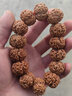 今夕尼泊尔大金刚菩提子手串爆肉满肉五六瓣矮桩高密度沉水佛珠念珠男 大金刚双龙纹 6瓣满肉 22mm 实拍图