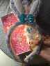 艾美诗星黛露生日礼物女童毛绒玩具8-10岁小学生女孩子圣诞节新女儿侄女 套装（小号挎包+猪猪泡泡机）） 实拍图