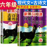 新黑马阅读 语文课外阅读训练小学六年级A版 小学语文课外阅读理解专项强化训练阅读理解答题模板技巧练习册必刷题  语文课外阅读理解 实拍图