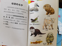 科学自己读全10册（自然科学+多元科学）6-10岁孩子的科学启蒙科普书 实拍图