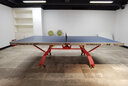 双鱼（DOUBLE FISH）双鱼标准乒乓球台233室内家用移动折叠式乒乓球桌案子家用大赛台 翔云X1（18MM板） 实拍图