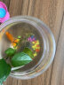 SOBO圆形鱼缸客厅桌面家用摔不烂pc塑料鱼缸高透明仿玻璃小型金鱼缸 【裸缸】25*18cm 实拍图