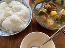 陶趣居 日本进口小蓝芽陶瓷米饭碗汤碗泡面碗复古碗日式家用餐具釉下彩 21.2*5.2cm 8.3英寸深盘 实拍图