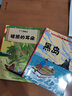 新版丁丁历险记·大16开：丁丁与丛林战士 儿童文学读物 小学生课外阅读故事书 实拍图