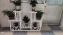 华观家居（Home Giving Furniture）多层实木花架阳台置物架室内花架子客厅落地式多肉绿萝花盆植物架 C款白色 实拍图