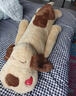 饰鹿熊可爱趴趴狗毛绒玩具公仔男女孩床上睡觉夹腿长条抱枕玩偶生日礼物 棕色开心每 1.3米(有拉链可拆洗) 实拍图