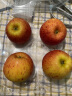 京鲜生新西兰皇家姬娜小苹果4粒 加力果小甜心 单果120g起 生鲜水果 实拍图