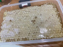 上鸪蜜匠当季蜂蜜荔枝蜂巢蜜嚼着吃蜂巢封盖成熟原蜜500g/600g/750g/盒 荔枝巢蜜500克*3盒+赠山花蜜360克*1瓶 实拍图