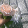 花艺赫家饰仿真花玫瑰花单支 客厅装饰花假花摆件 红色玫瑰花仿真花束摆设花 51厘米绒布珍珠玫奶白【5支】 实拍图